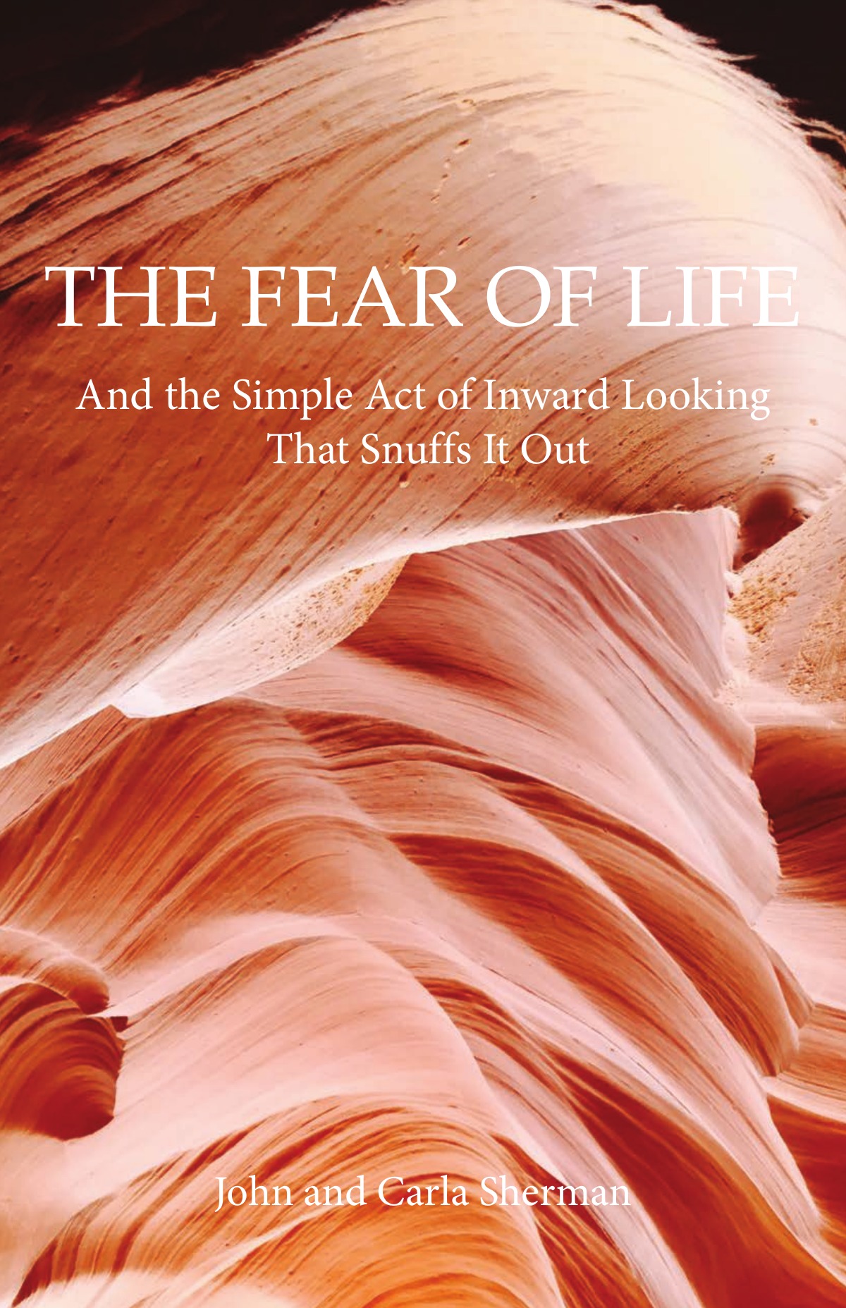 Cover of The Fear of Life